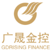 广东省金字招牌金年会金融控股有限公司